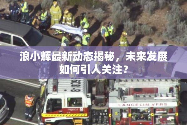 浪小辉最新动态揭秘，未来发展如何引人关注？