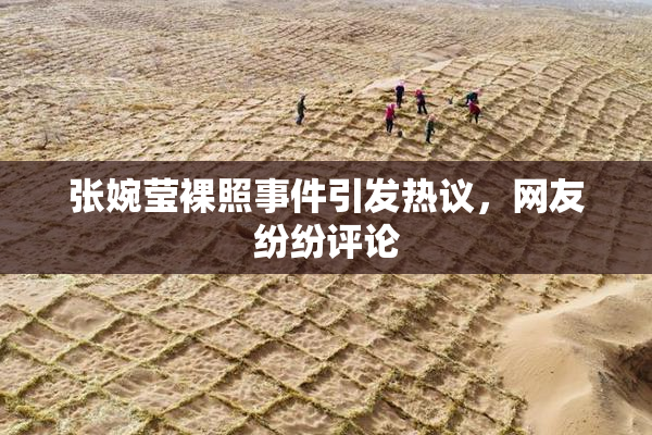 张婉莹裸照事件引发热议，网友纷纷评论