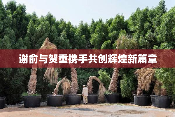 谢俞与贺重携手共创辉煌新篇章