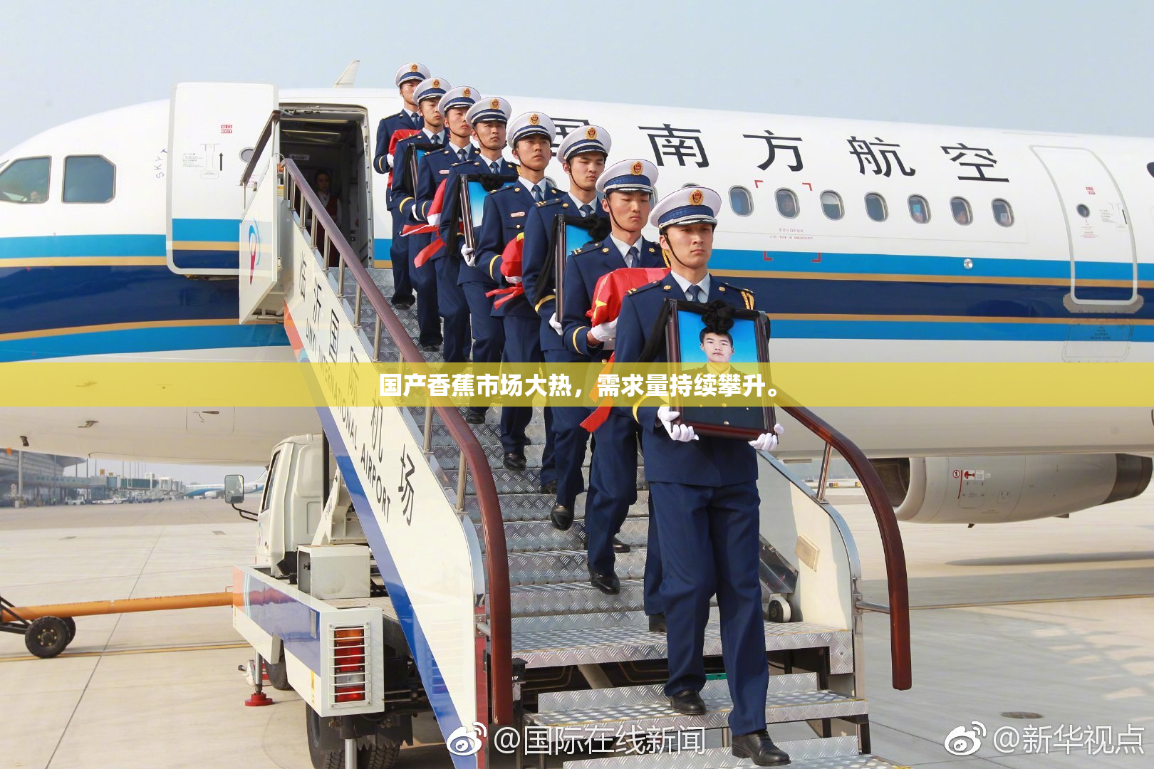 国产香蕉市场大热，需求量持续攀升。