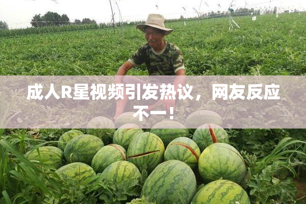 成人R星视频引发热议，网友反应不一！