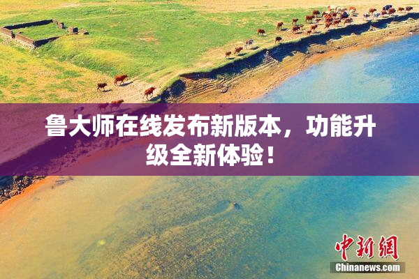 鲁大师在线发布新版本，功能升级全新体验！