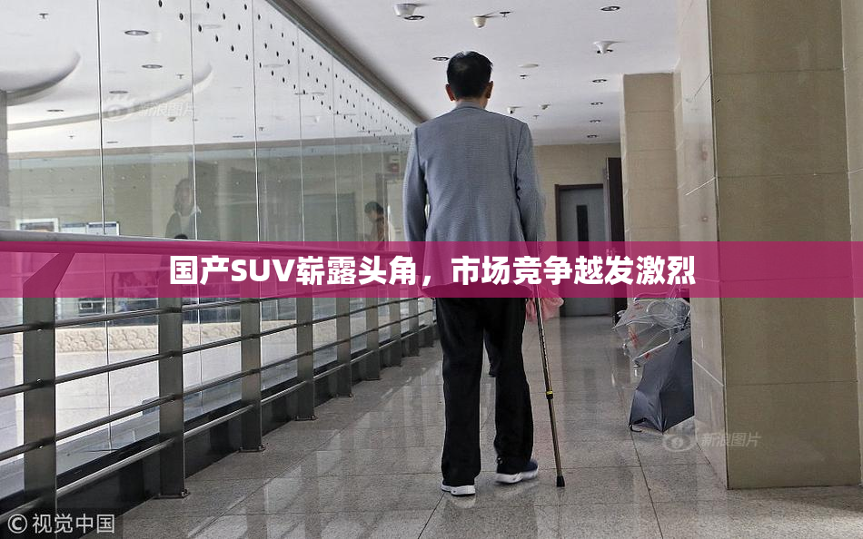 国产SUV崭露头角，市场竞争越发激烈