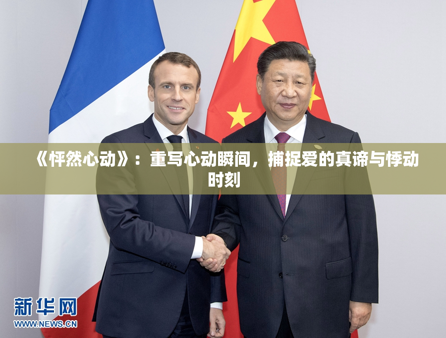 《怦然心动》：重写心动瞬间，捕捉爱的真谛与悸动时刻