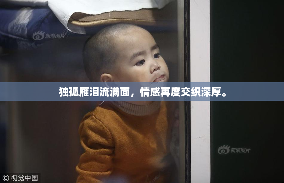独孤雁泪流满面，情感再度交织深厚。