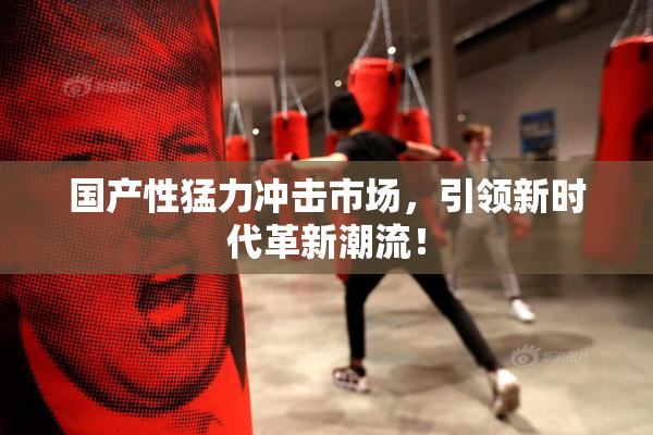 国产性猛力冲击市场，引领新时代革新潮流！