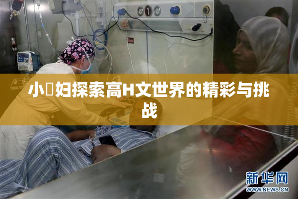 小婬妇探索高H文世界的精彩与挑战