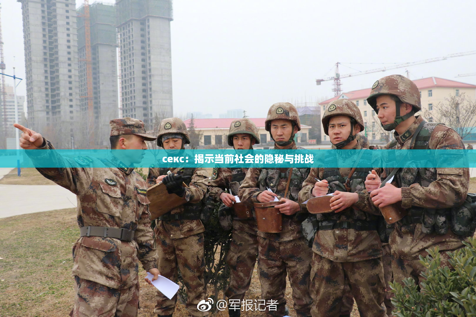 ceкс：揭示当前社会的隐秘与挑战