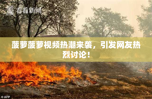 菠萝菠萝视频热潮来袭，引发网友热烈讨论！