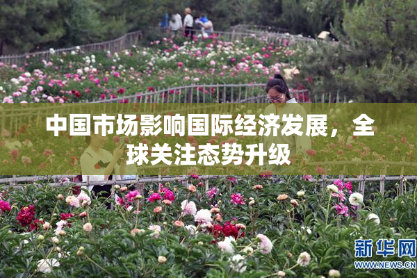中国市场影响国际经济发展，全球关注态势升级