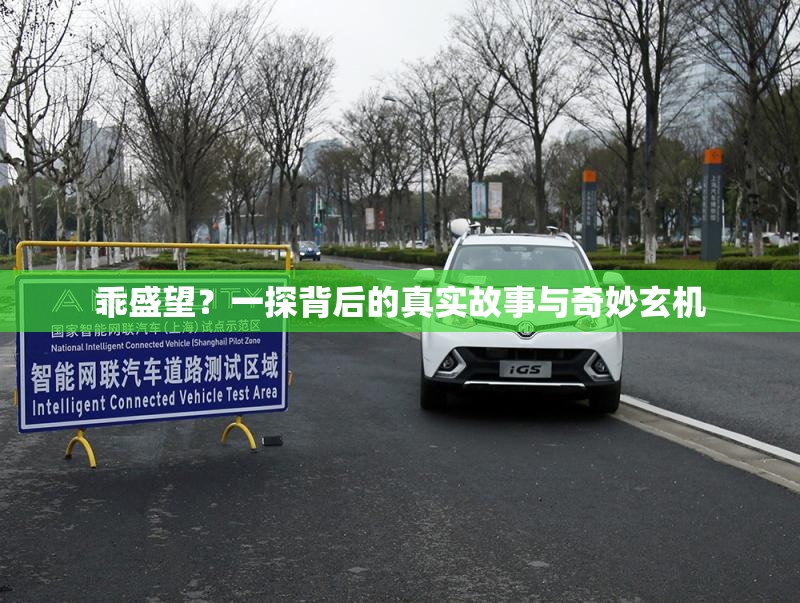 乖盛望？一探背后的真实故事与奇妙玄机
