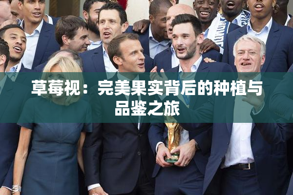 草莓视：完美果实背后的种植与品鉴之旅