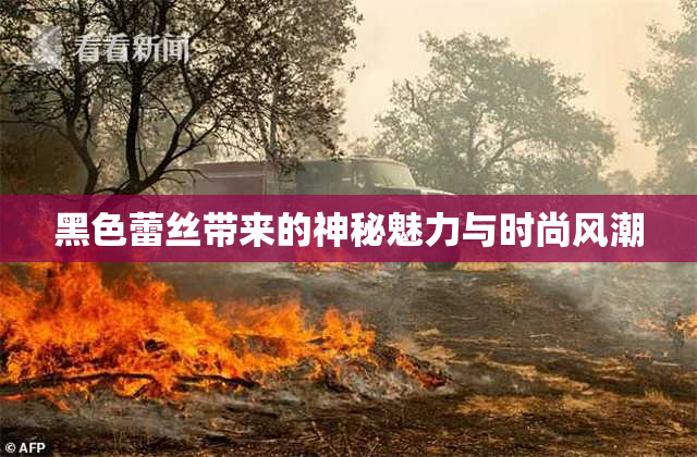黑色蕾丝带来的神秘魅力与时尚风潮