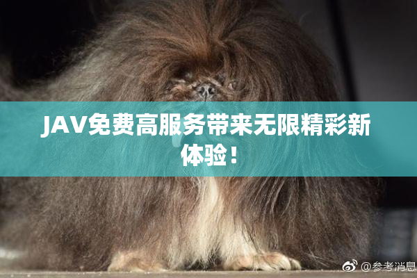 JAV免费高服务带来无限精彩新体验！