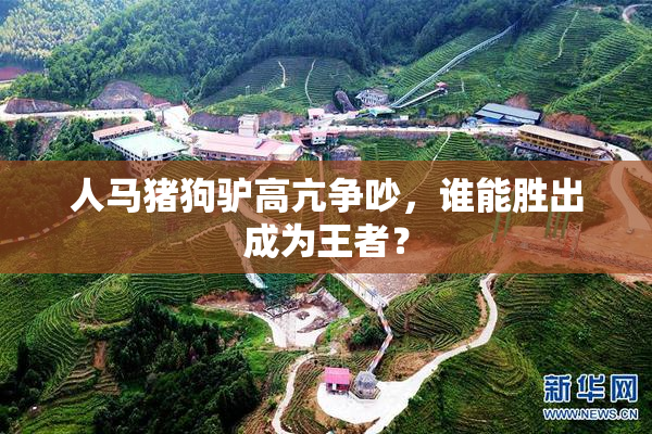 人马猪狗驴高亢争吵，谁能胜出成为王者？