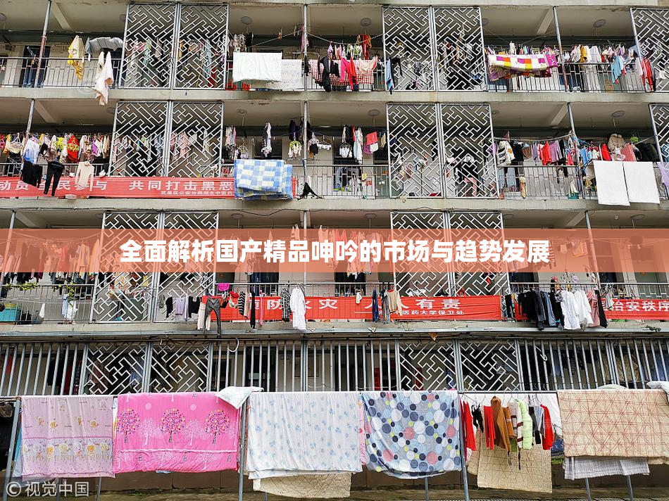 全面解析国产精品呻吟的市场与趋势发展