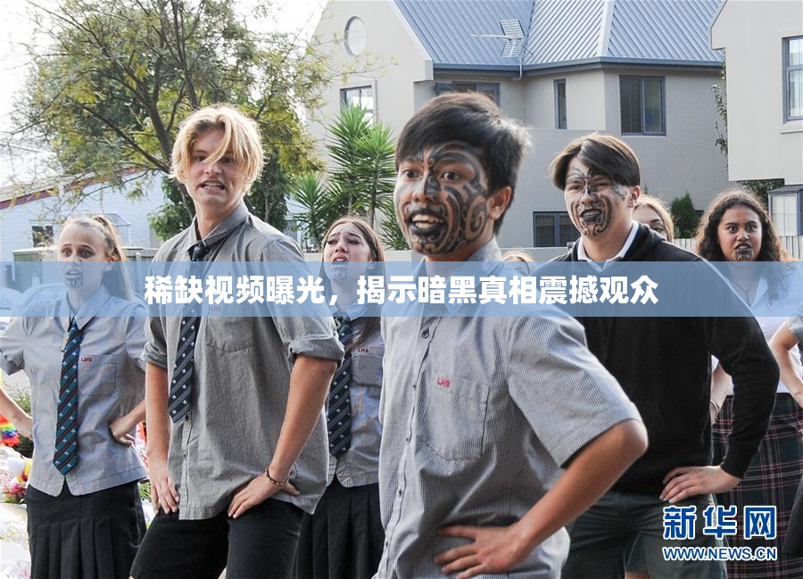 稀缺视频曝光，揭示暗黑真相震撼观众