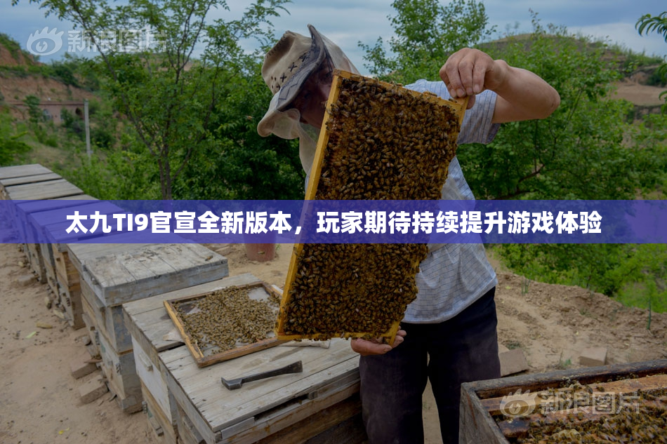 太九TI9官宣全新版本，玩家期待持续提升游戏体验