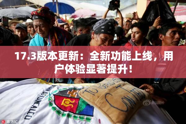 17.3版本更新：全新功能上线，用户体验显著提升！