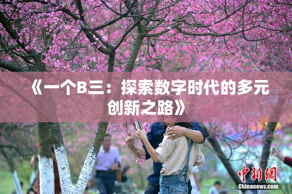 《一个B三：探索数字时代的多元创新之路》