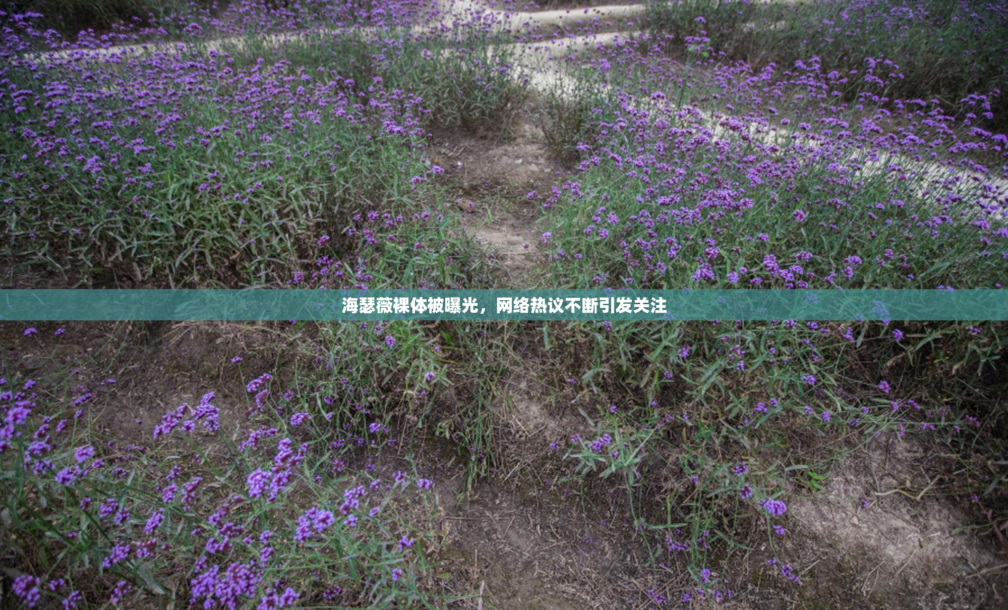 海瑟薇裸体被曝光，网络热议不断引发关注