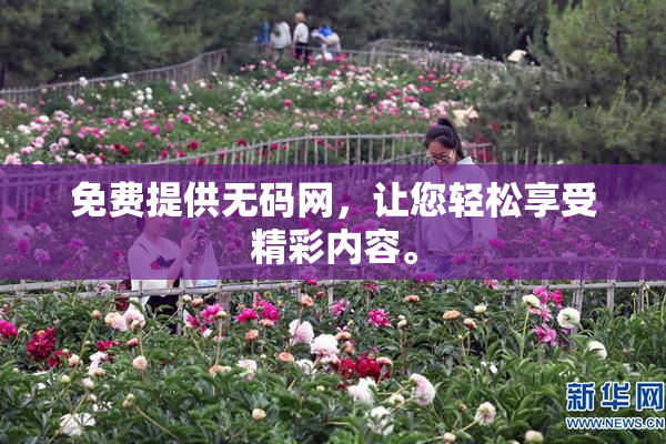 免费提供无码网，让您轻松享受精彩内容。