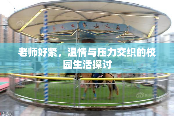 老师好紧，温情与压力交织的校园生活探讨