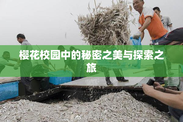樱花校园中的秘密之美与探索之旅