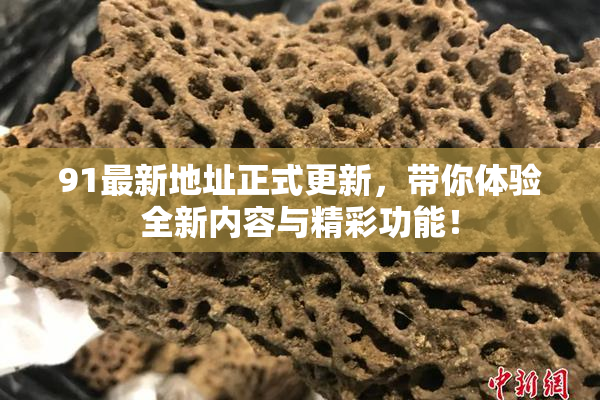91最新地址正式更新，带你体验全新内容与精彩功能！