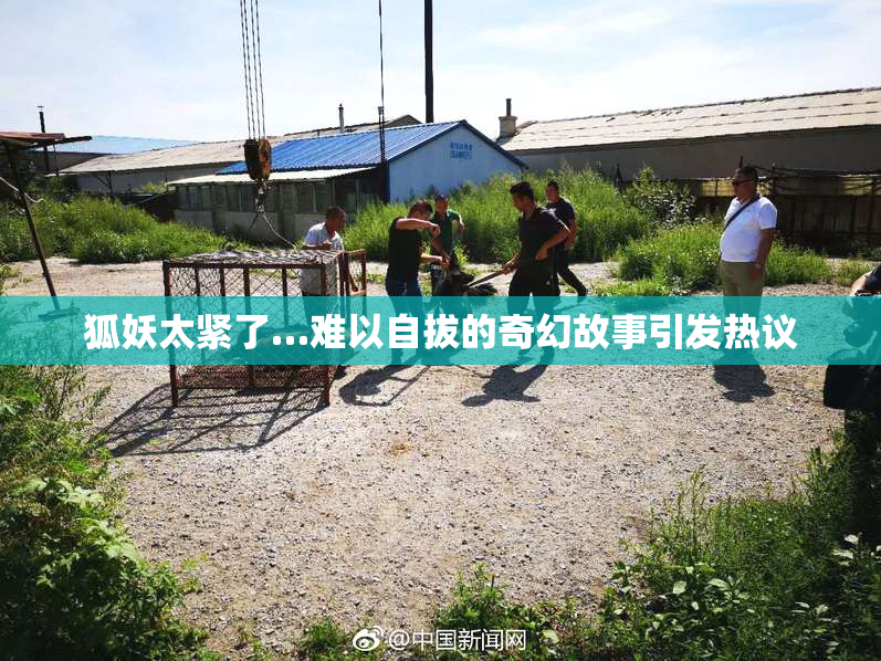 狐妖太紧了…难以自拔的奇幻故事引发热议