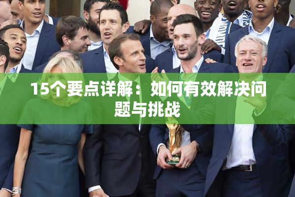 15个要点详解：如何有效解决问题与挑战
