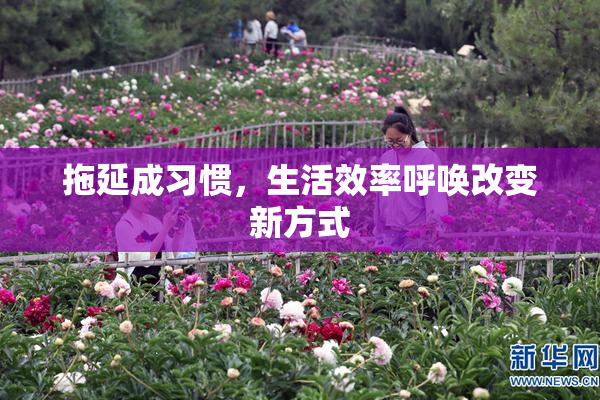 拖延成习惯，生活效率呼唤改变新方式