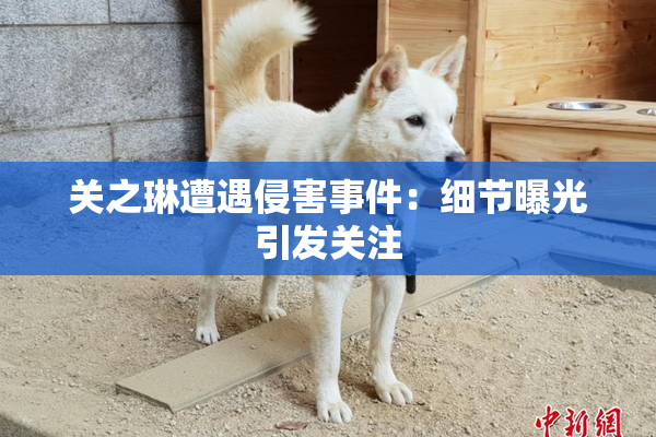 关之琳遭遇侵害事件：细节曝光引发关注