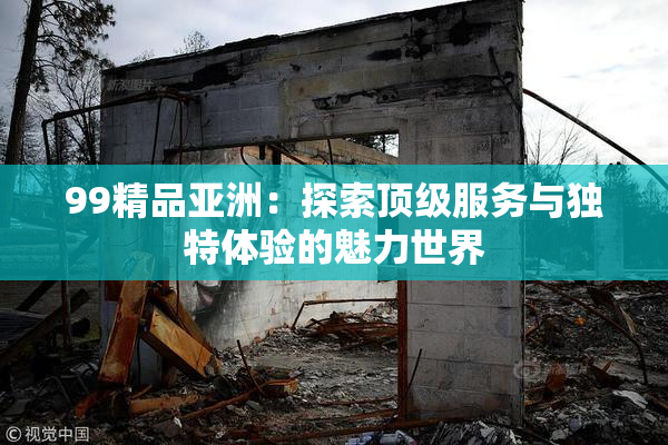 99精品亚洲：探索顶级服务与独特体验的魅力世界