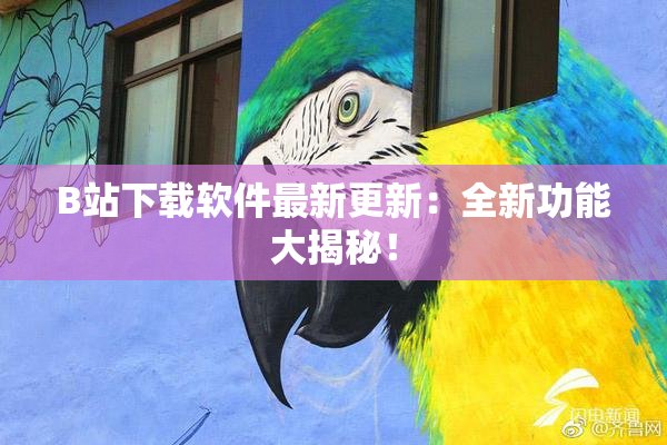 B站下载软件最新更新：全新功能大揭秘！