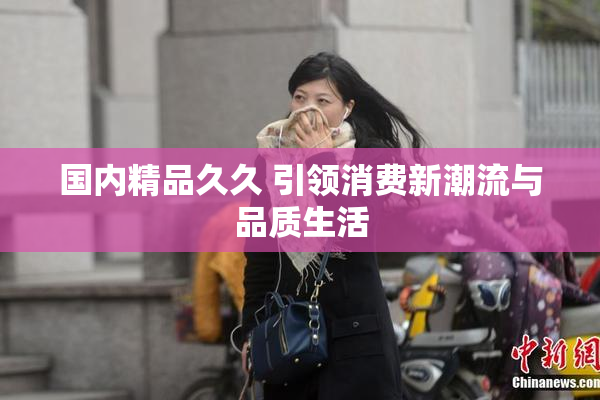 国内精品久久 引领消费新潮流与品质生活
