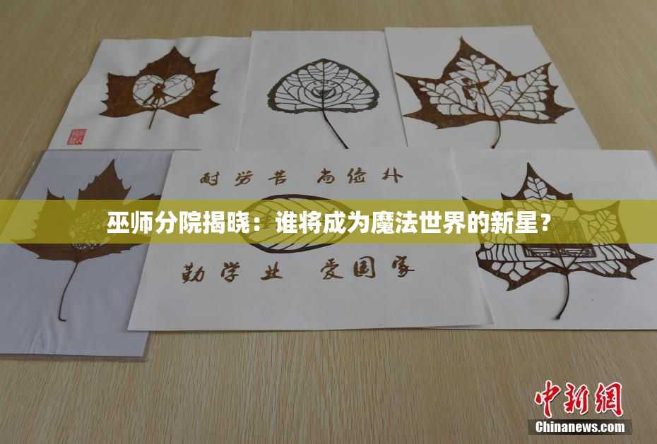 巫师分院揭晓：谁将成为魔法世界的新星？