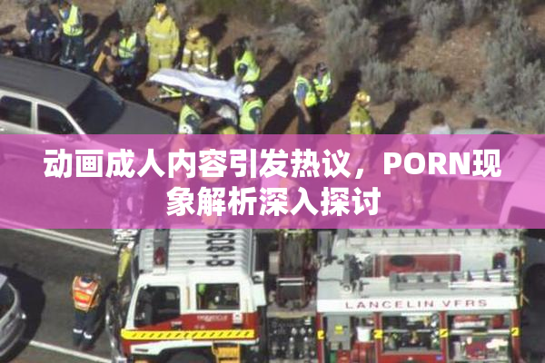动画成人内容引发热议，PORN现象解析深入探讨