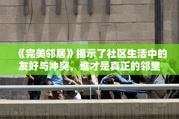 《完美邻居》揭示了社区生活中的友好与冲突，谁才是真正的邻里典范？