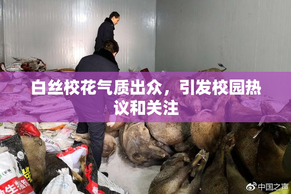 白丝校花气质出众，引发校园热议和关注