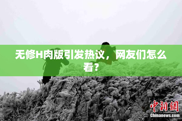 无修H肉版引发热议，网友们怎么看？