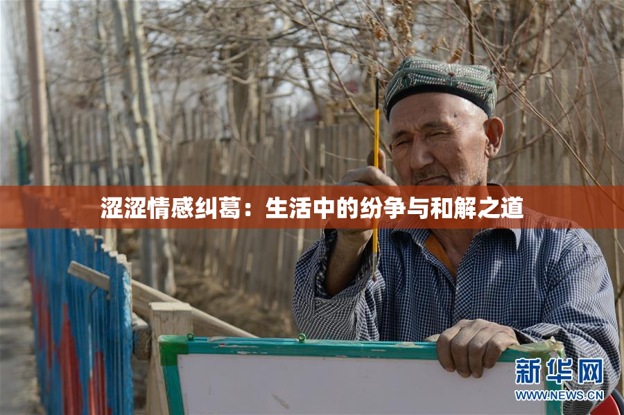 涩涩情感纠葛：生活中的纷争与和解之道
