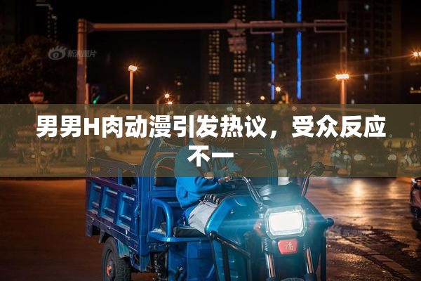 男男H肉动漫引发热议，受众反应不一
