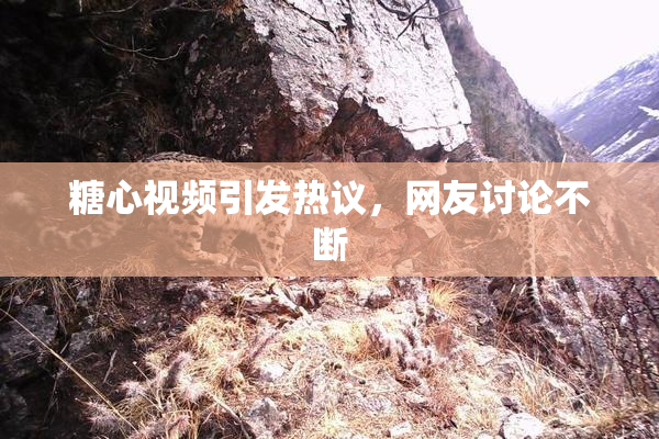 糖心视频引发热议，网友讨论不断