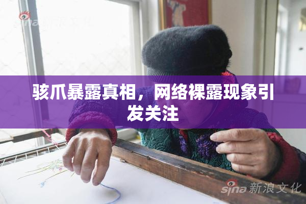 骇爪暴露真相，网络裸露现象引发关注