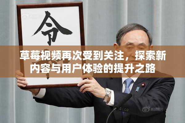 草莓视频再次受到关注，探索新内容与用户体验的提升之路