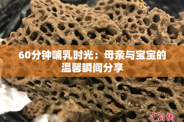 60分钟哺乳时光：母亲与宝宝的温馨瞬间分享
