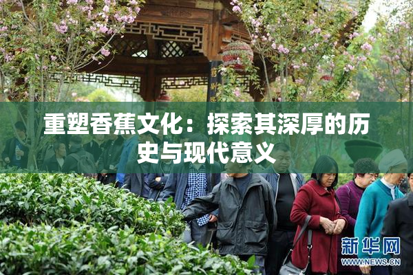 重塑香蕉文化：探索其深厚的历史与现代意义