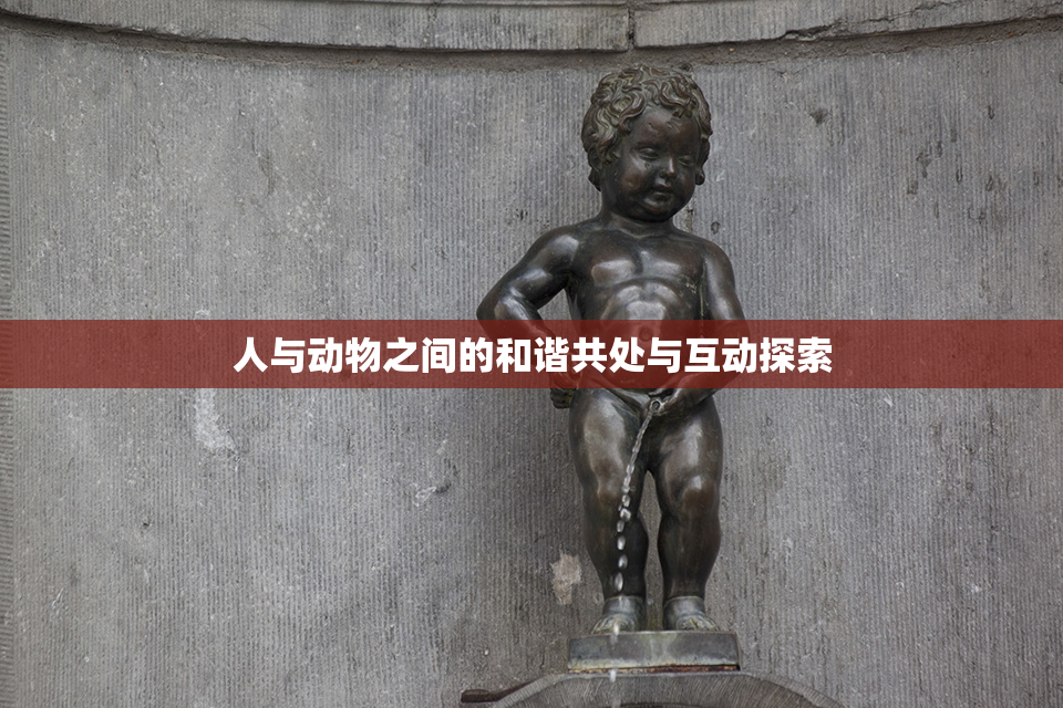人与动物之间的和谐共处与互动探索