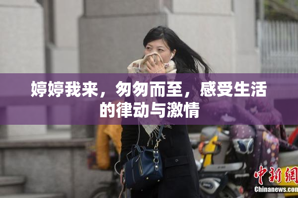 婷婷我来，匆匆而至，感受生活的律动与激情